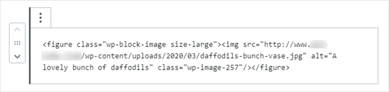 viewing html code for image