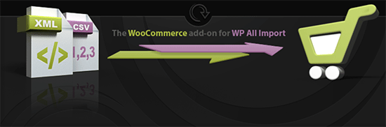 Add-on for WP All Import