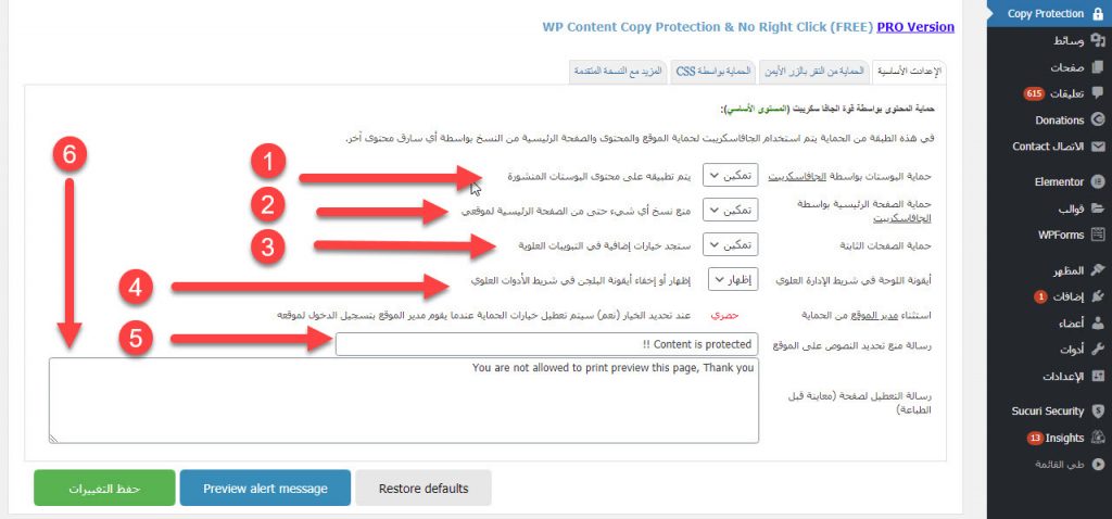 wp content protection settings 1024x478 1